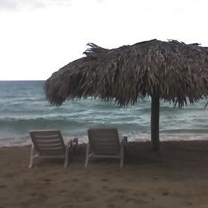 Meet your Posher, Alexa